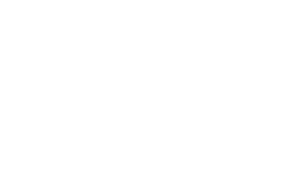 Car Logo